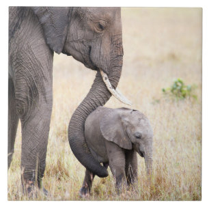 Mutterliche Liebe Fliese