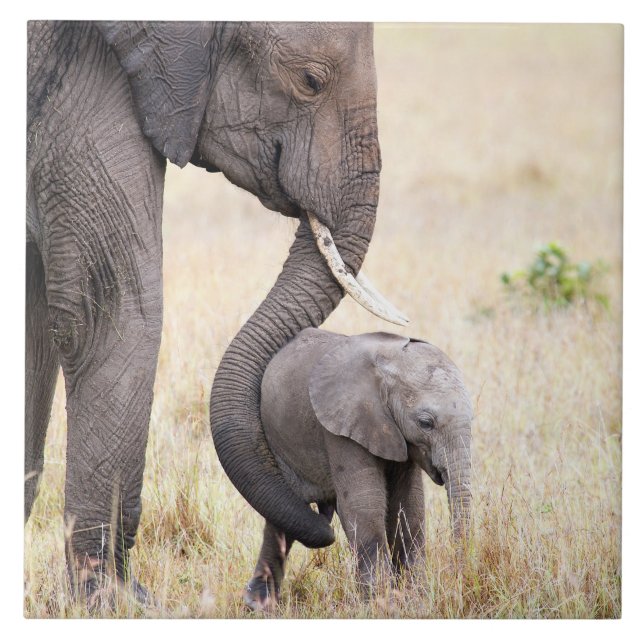 Mutterliche Liebe Fliese (Vorderseite)