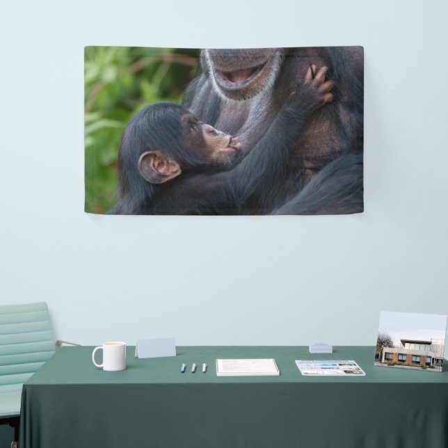 Mutterliebe – Baby Schimpanse Banner (Messeveranstaltung)