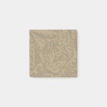 Muttermund-Katzen 3 bis 3