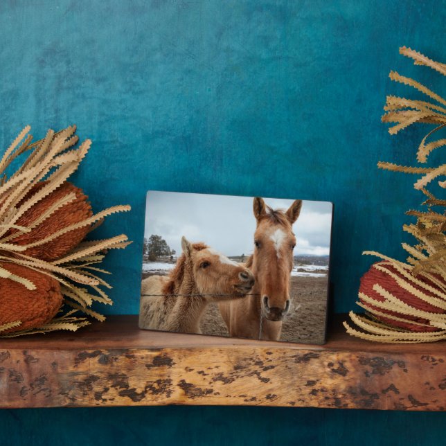 Mutterpferd Fotoplatte (Seite)