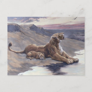 Mutterpflege Postkarte