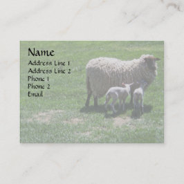 Mutterschaf mit Zwillingen Visitenkarte