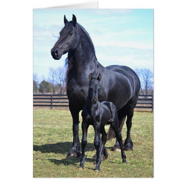 Mutterschaft (Vorne)