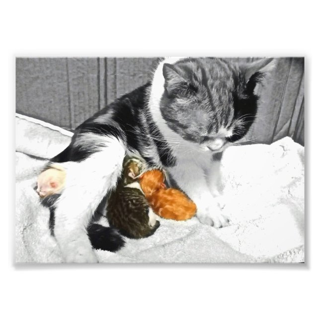 Mutterschaft Fotodruck (Vorne)