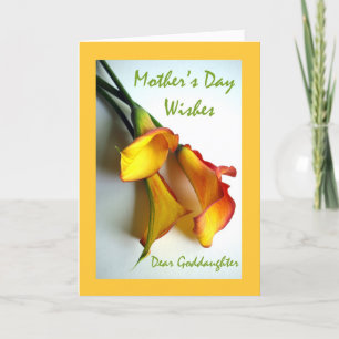 Muttertag der Tochter, Calla Lilies Karte