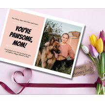 Muttertag Hund Mama Niedliches Foto