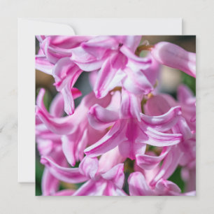 Muttertag Hyazinth Gedicht Square Karte