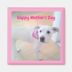 Muttertag Niedlicher weißer Welpenhund rosa Magnet