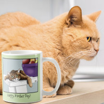 Muttertag Orange Tabby Cat