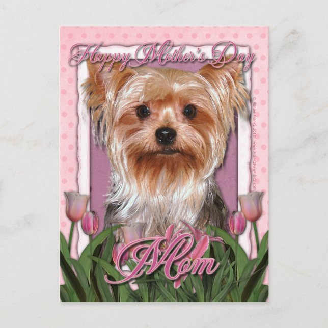 Muttertag - Pink Tulips - Yorkshire Terrier Postkarte (Vorderseite)