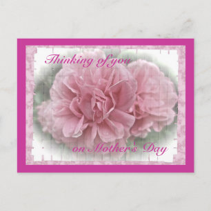 Muttertag rosa Kletterrosa Rose blüht Postkarte