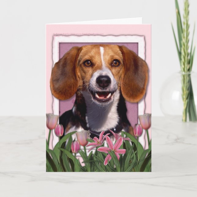 Muttertag - Rosa Tulips - Beagle Karte (Vorderseite)