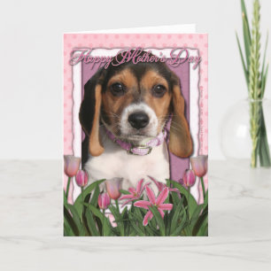 Muttertag - Rosa Tulips - Beagle Welpe Karte