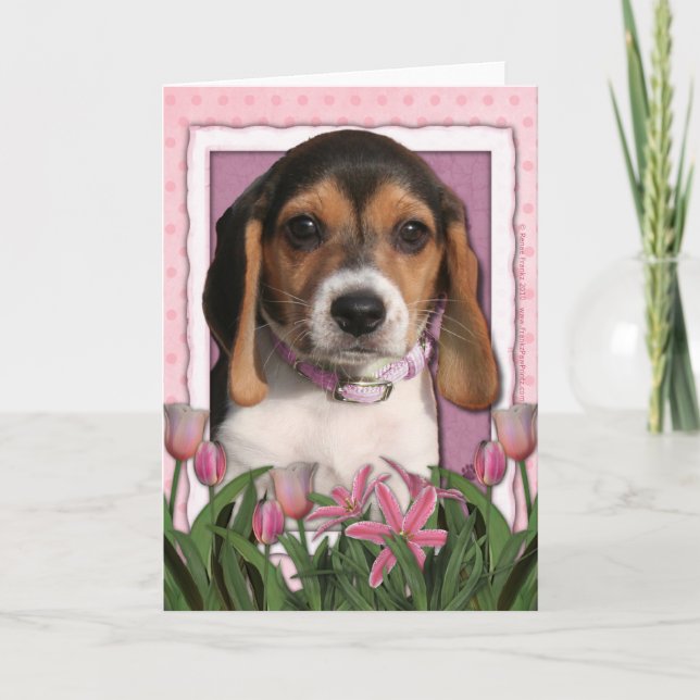 Muttertag - Rosa Tulips - Beagle Welpe Karte (Vorderseite)