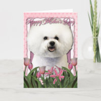 Muttertag - Rosa Tulips - Bichon Frise