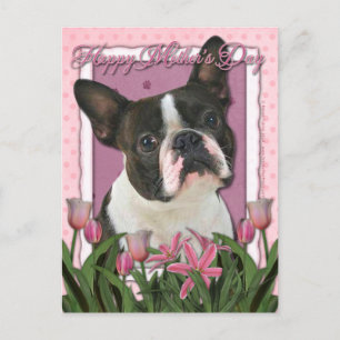 Muttertag - Rosa Tulips - Boston Terrier Postkarte