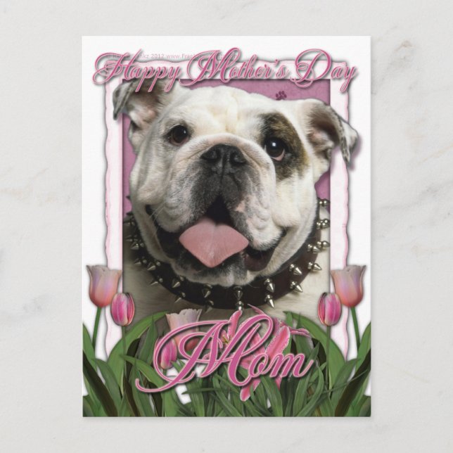 Muttertag - Rosa Tulips - Bulldog Postkarte (Vorderseite)