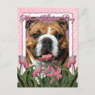 Muttertag - Rosa Tulips - Bulldog Postkarte