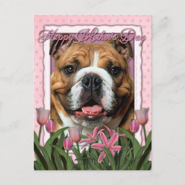 Muttertag - Rosa Tulips - Bulldog Postkarte (Vorderseite)
