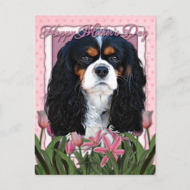 Muttertag - rosa Tulips - Cavalier - trifarbig Postkarte (Vorderseite)