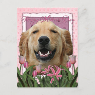 Muttertag - Rosa Tulips - Golden Retriever Postkarte