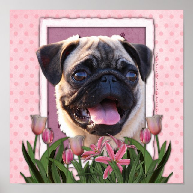 Muttertag - Rosa Tulips - Mops Poster (Vorne)