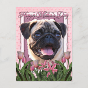 Muttertag - Rosa Tulips - Mops Postkarte