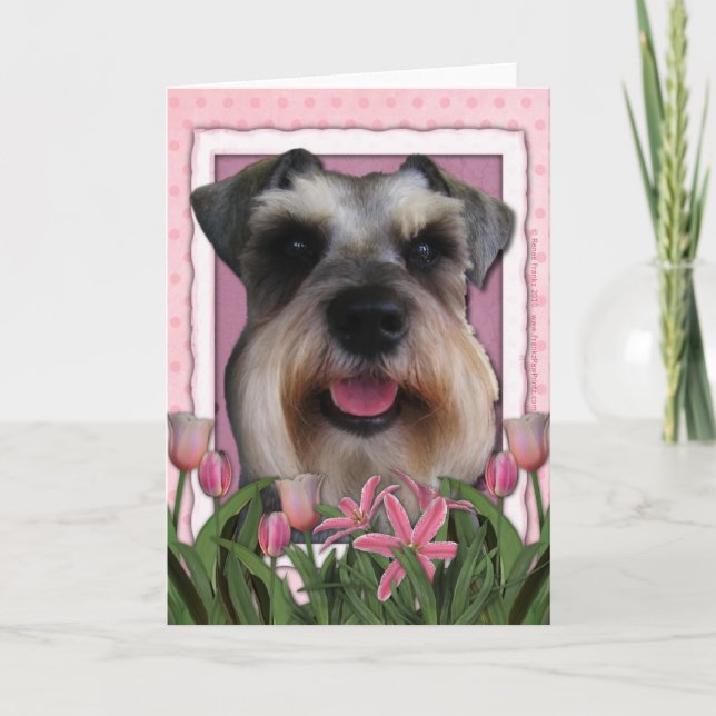 Muttertag - Rosa Tulips - Schnauzer Karte (Vorderseite)