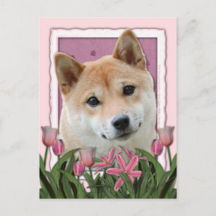 Muttertag - Rosa Tulips - Shiba Inu Postkarte