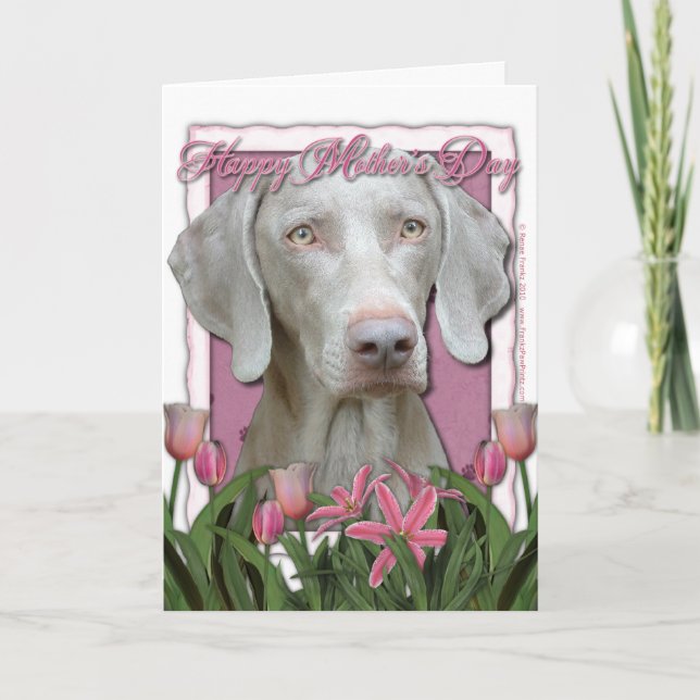 Muttertag - Rosa Tulips - Weimaraner - Goldene Aug Karte (Vorderseite)