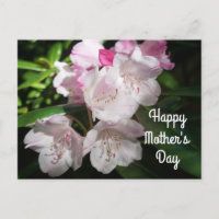 Muttertag Sakura Cherry Blossom #2 Postkarte