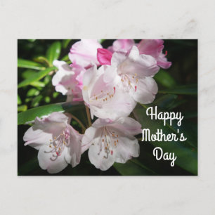 Muttertag Sakura Cherry Blossom #2 Postkarte