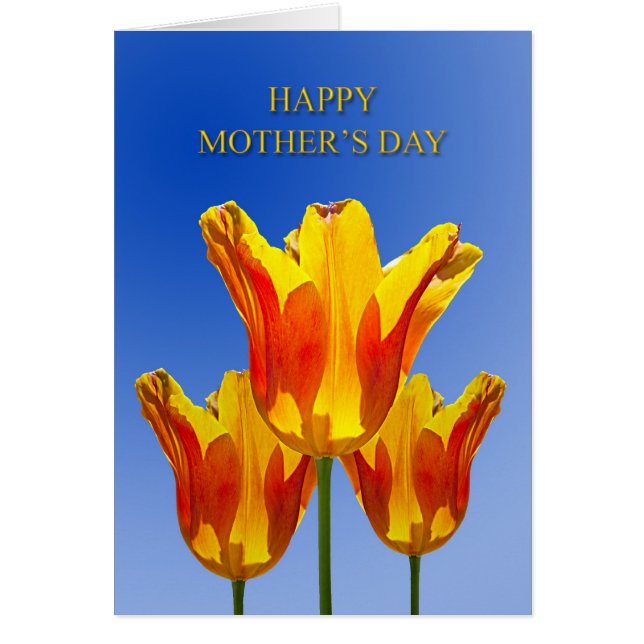 Muttertag, Tulpen voller Sonnenschein (Vorne)