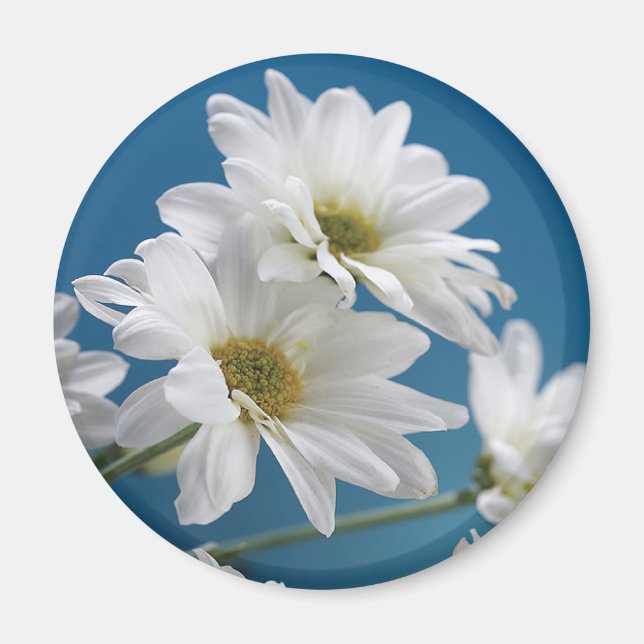 Muttertaggarten der Liebe, Daisies, Blue Sky Magnet (Vorne)