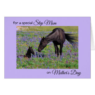 Muttertags-Stute-und-Fohlen-Blumen-Weide-Foto-Noti