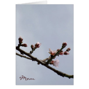 Muttertagskarte Blossom