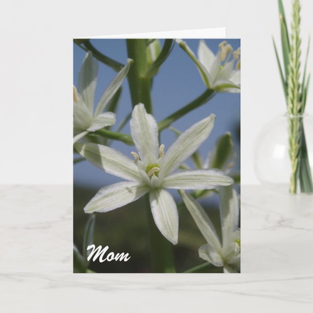 Muttertagskarte für weiße Blume Karte (Vorderseite)