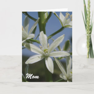 Muttertagskarte für weiße Blume Karte