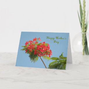 Muttertagskarte mit einer Royal Poinciana-Blume Karte