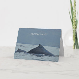 Muttertagskarte mit Humpbackwalen Karte