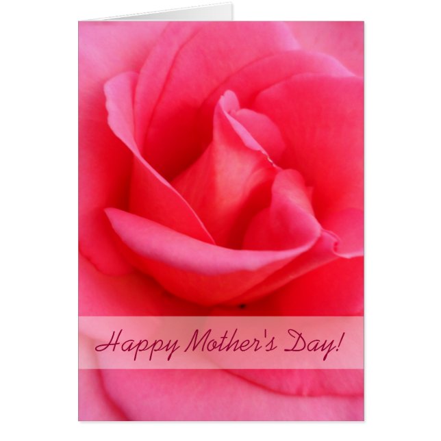 Muttertagsrosa (Vorne)