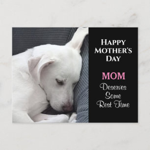 Muttertagsschlafen des Niedlichen Weißen Hundes -  Postkarte