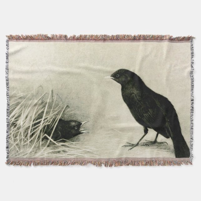 Muttertiere und Schwarze Vögel Decke (Vorderseite)