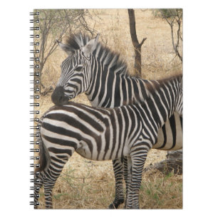Mutterund Babyzebra-Notizbuch Notizblock