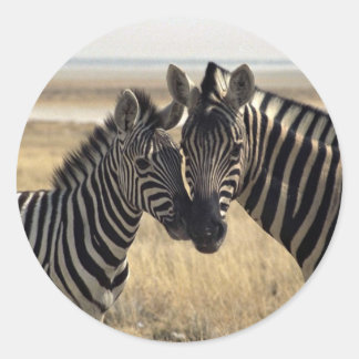 Mutterzebra und junger Zebra Runder Aufkleber