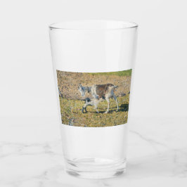 Mutterziege mit ihrem jungen Kind (von Segantini) Glas