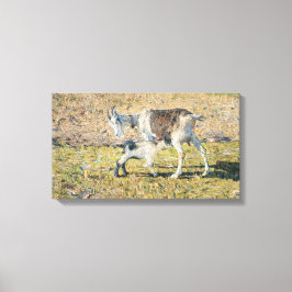 Mutterziege mit ihrem jungen Kind (von Segantini) Leinwanddruck