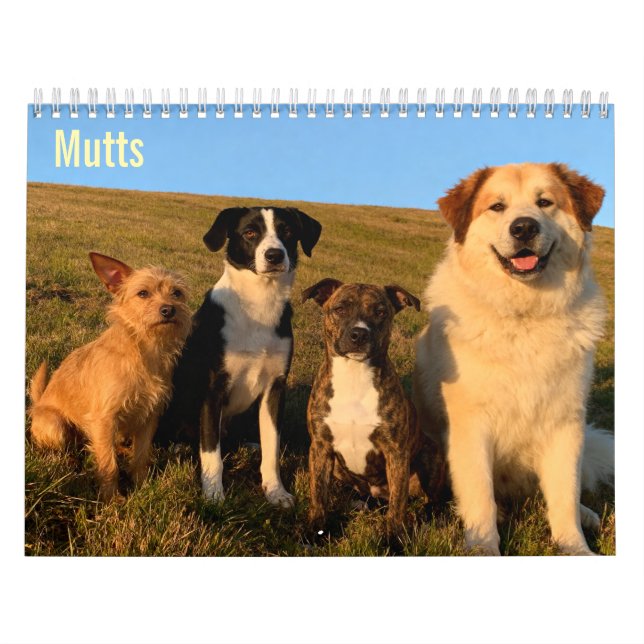 Mutts 2027 Wandkalender (Titelbild)
