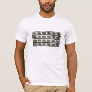 Muybridges Elefanten T-Shirt